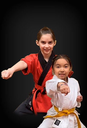 Young Adult Martial Arts